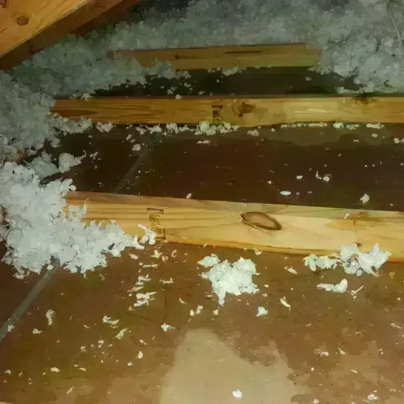 Attic Water Damage in Brewer, ME